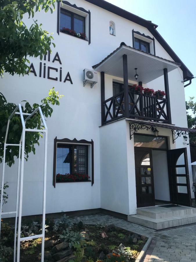 Villa Galicia Berehowe Exterior foto